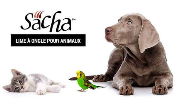 Sacha claws files for pets durable, efficiente, washable